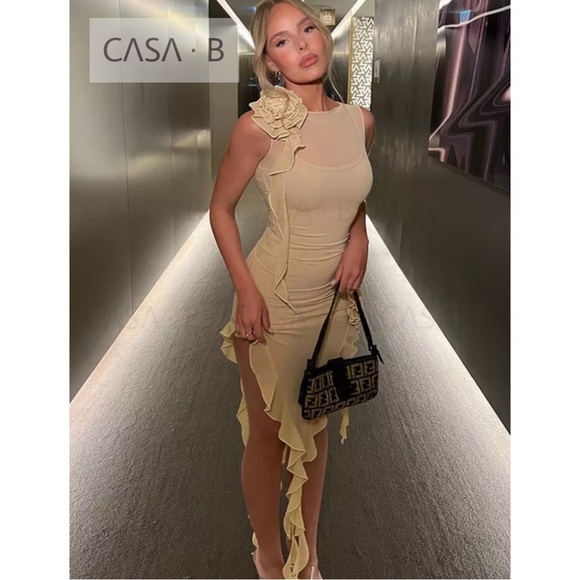 5⭐️CASA B | Florencia Sheer Mesh Floral Appliqué Dress in Nude - Picture 9 of 11